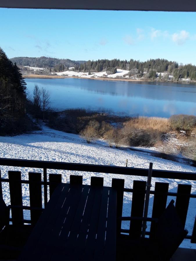 Les Balcons Du Lac Malbuisson Eksteriør billede